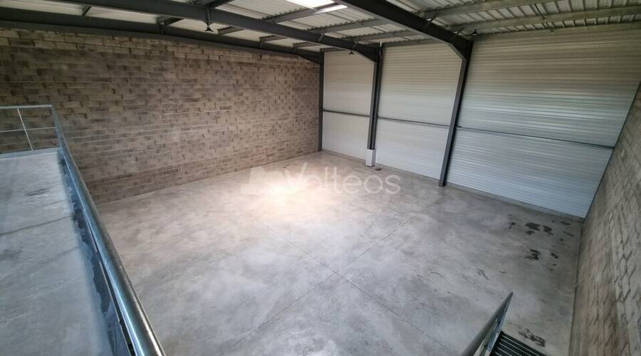 REXIM - Local d'activités - Haute-Garonne - Pibrac - 5