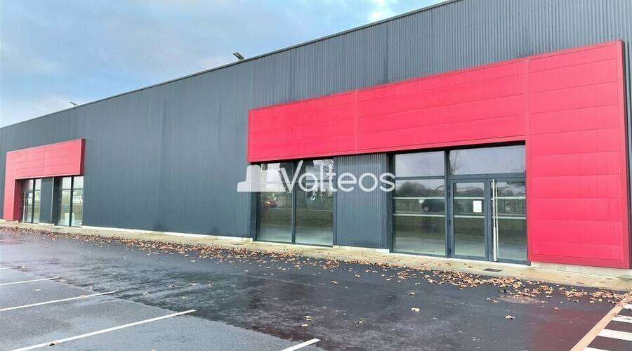 REXIM - Local d'activités - Haute-Garonne - Saint-Jory - 3