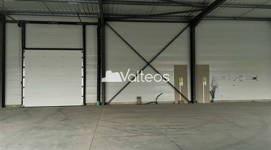 REXIM - Local d'activités - Haute-Garonne - Saint-Jory - 5