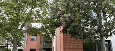 REXIM - Bureau - Haute-Garonne - Toulouse - 10
