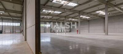 REXIM - Local d'activités - Ain - Miribel - 4