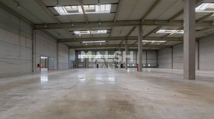 REXIM - Local d'activités - Ain - Miribel - 5