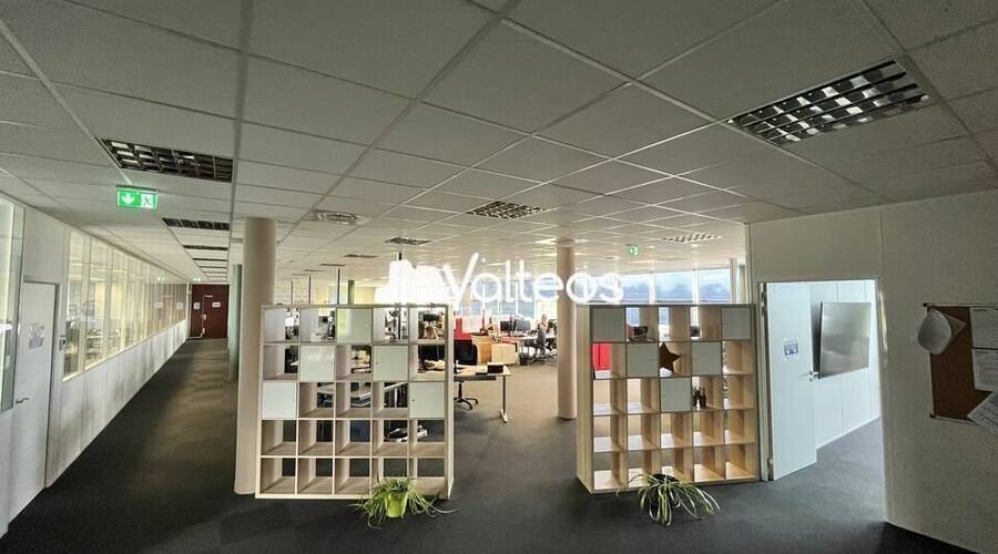 REXIM - Bureau - Haute-Garonne - Toulouse - 7