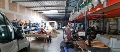 REXIM - Local d'activités - Haute-Garonne - Mondouzil - 5