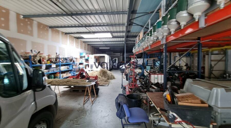 REXIM - Local d'activités - Haute-Garonne - Mondouzil - 5