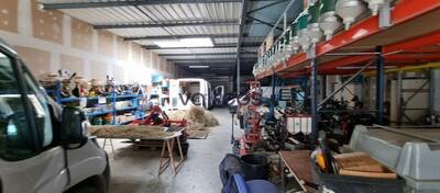 REXIM - Local d'activités - Haute-Garonne - Mondouzil - 5