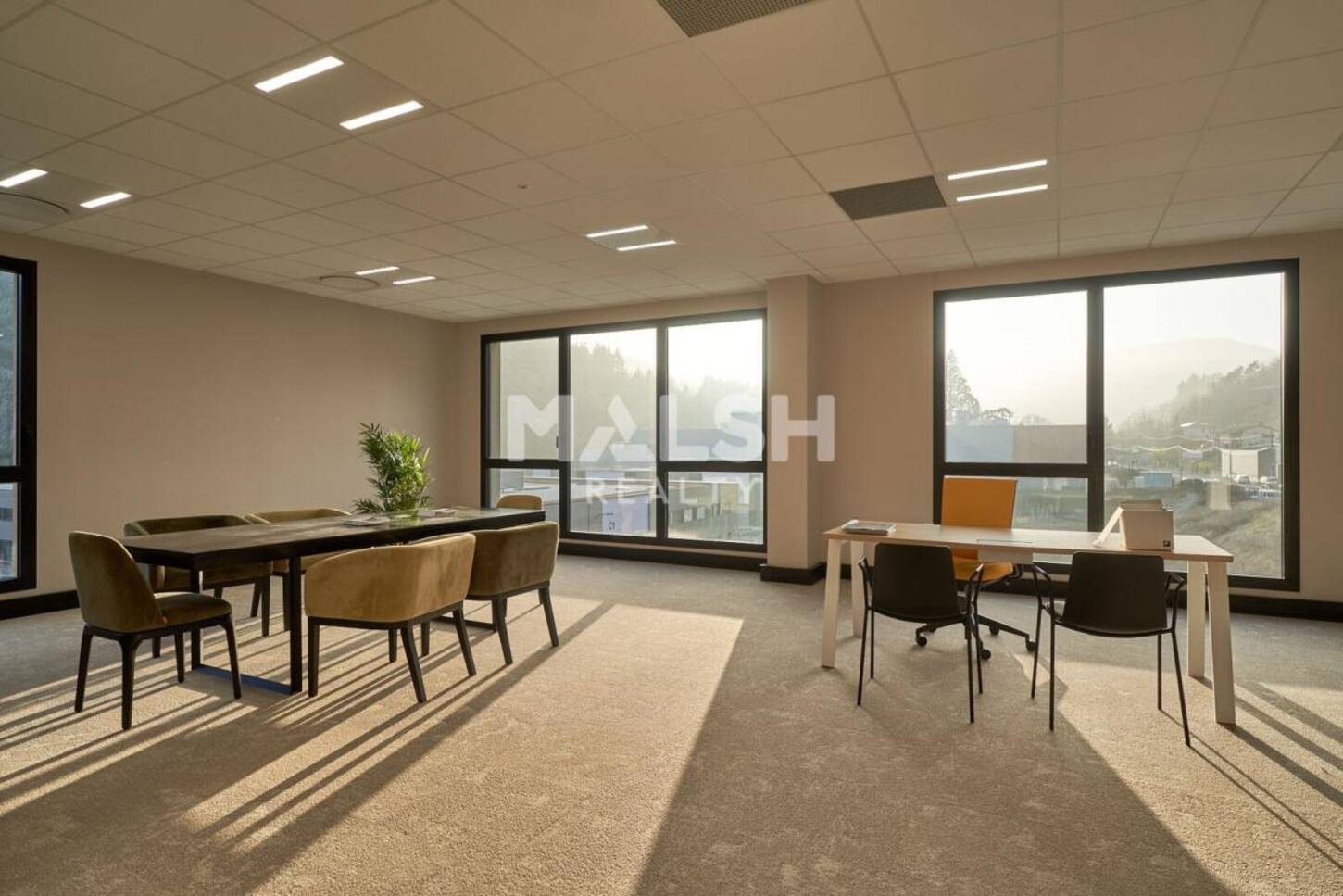 REXIM - Bureau - Rhône - Tarare - 2