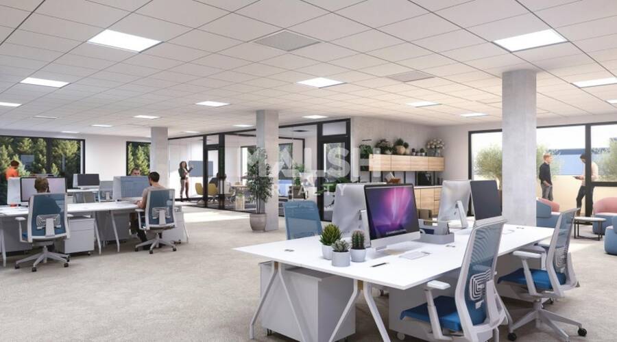 REXIM - Bureau - Rhône - Tarare - 3