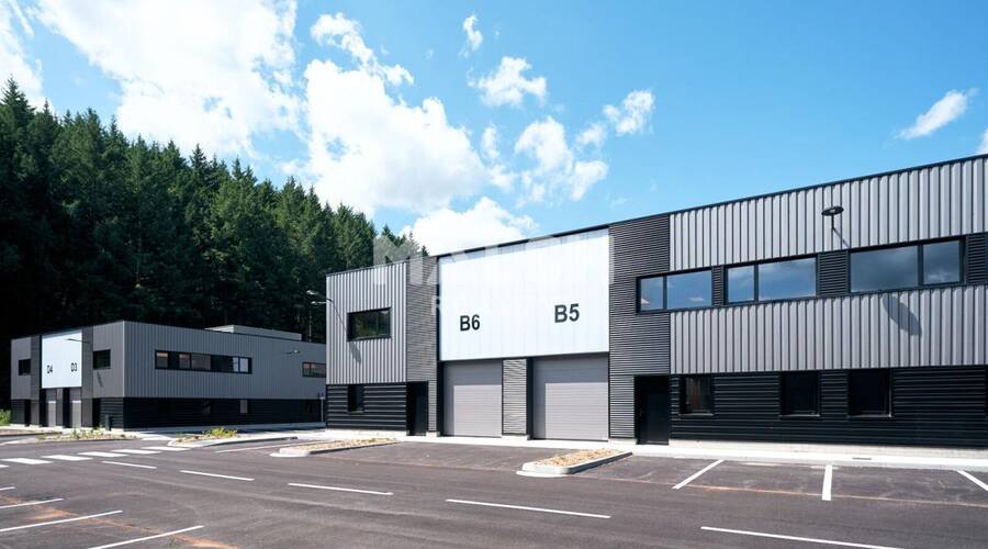 REXIM - Local d'activités - Rhône - Tarare - 1