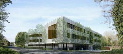 REXIM - Local d'activités - Haute-Garonne - Balma - 1