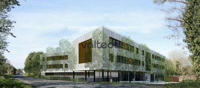 REXIM - Local d'activités - Haute-Garonne - Balma - 3