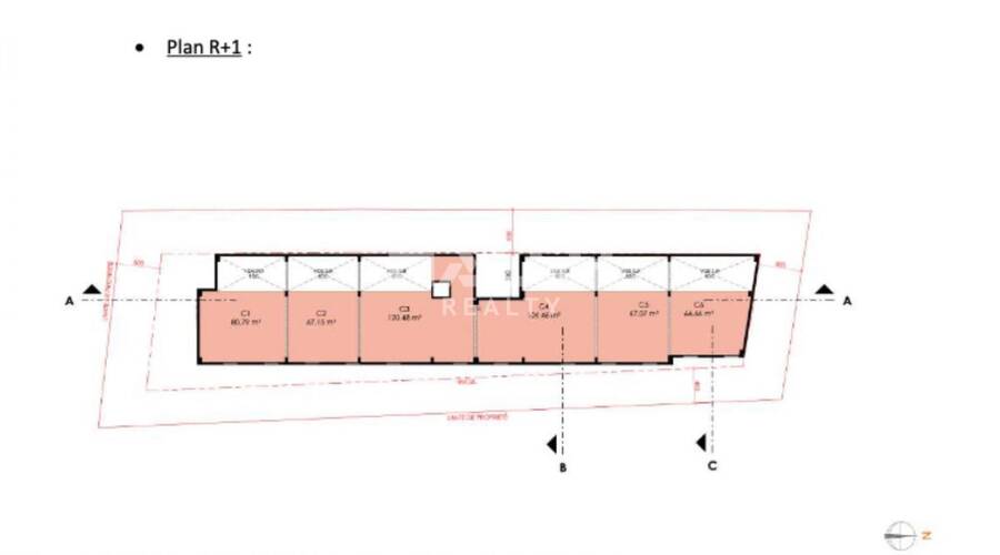 REXIM - Local commercial - Rhône - Limas - 10