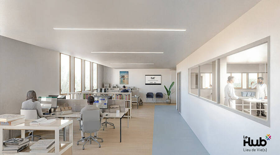 REXIM - Bureau - Haute-Garonne - Toulouse - 6