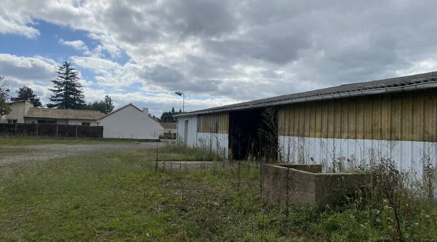 REXIM - Local d'activités - Loire-Atlantique - Corcoué-sur-Logne - 2