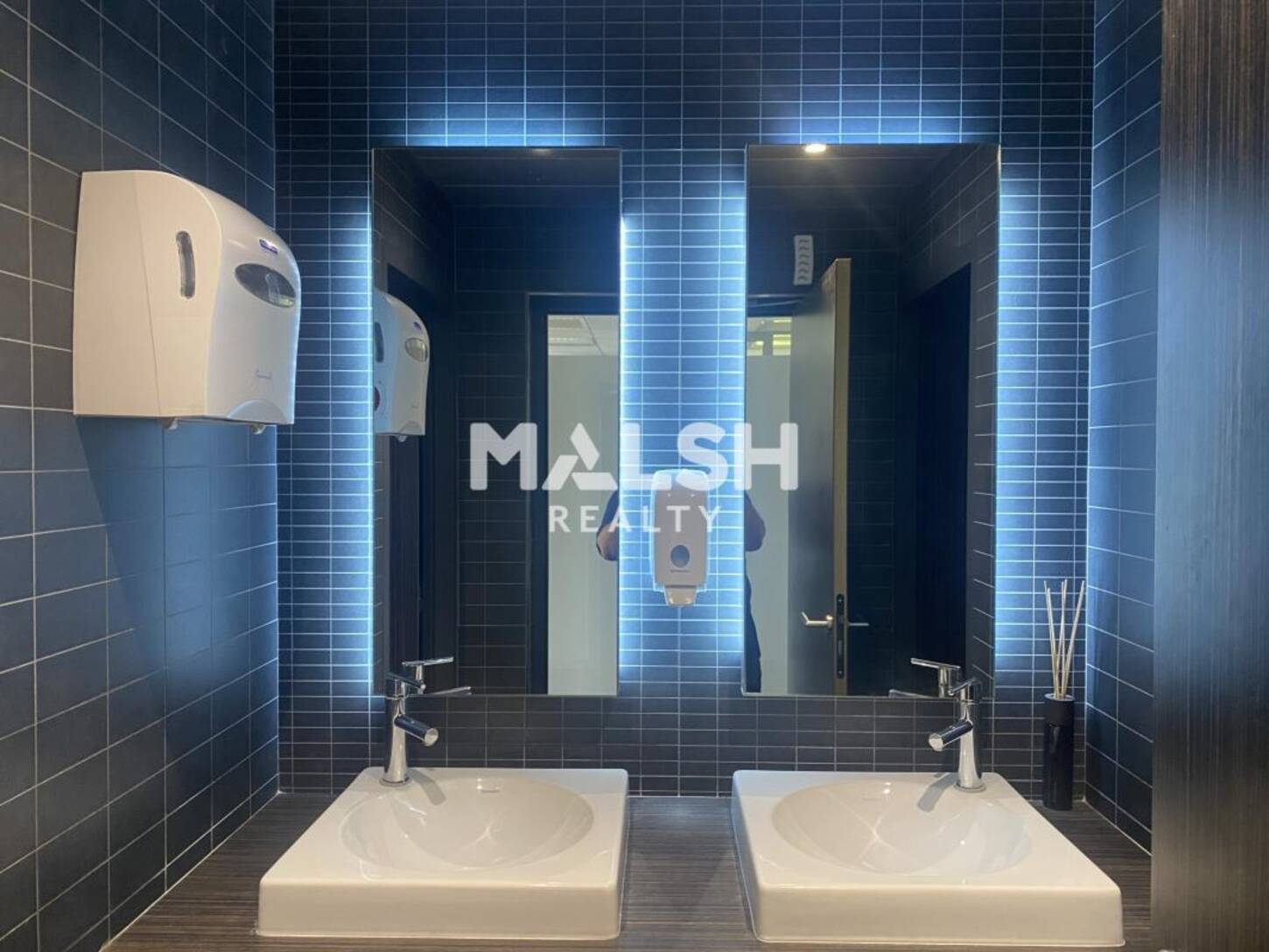 REXIM - Bureau - Rhône - Caluire-et-Cuire - 2