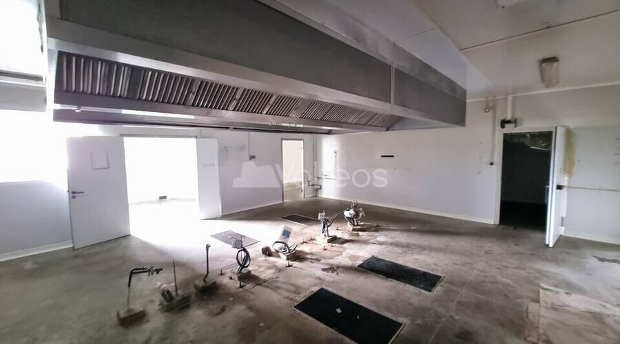 REXIM - Local d'activités - Haute-Garonne - Carbonne - 3