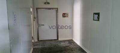 REXIM - Local d'activités - Haute-Garonne - Carbonne - 4