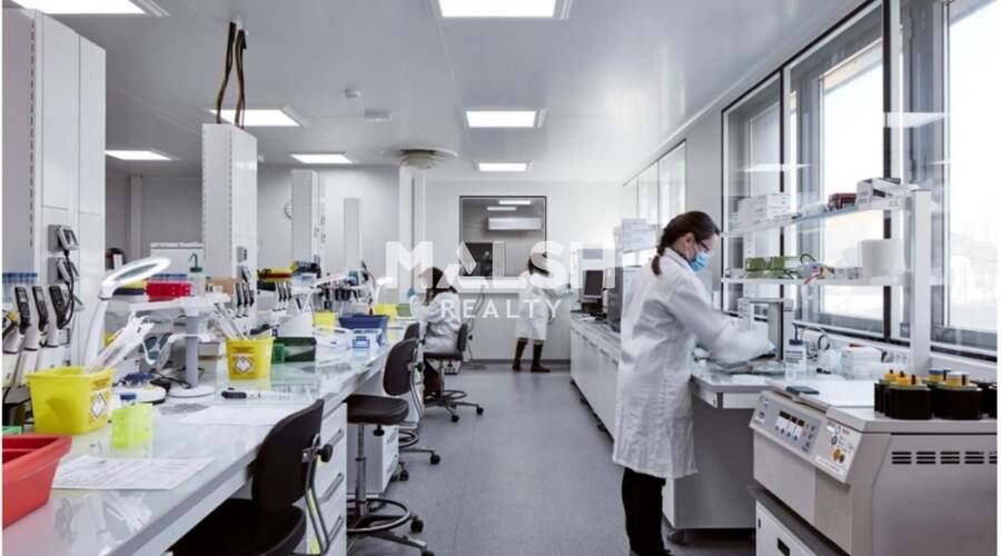 REXIM - Bureau - Rhône - Lyon - 3