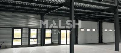 REXIM - Local d'activités - Isère - Bourgoin-Jallieu - 3