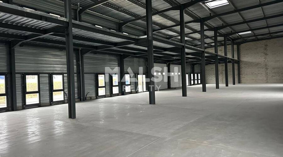 REXIM - Local d'activités - Isère - Bourgoin-Jallieu - 1