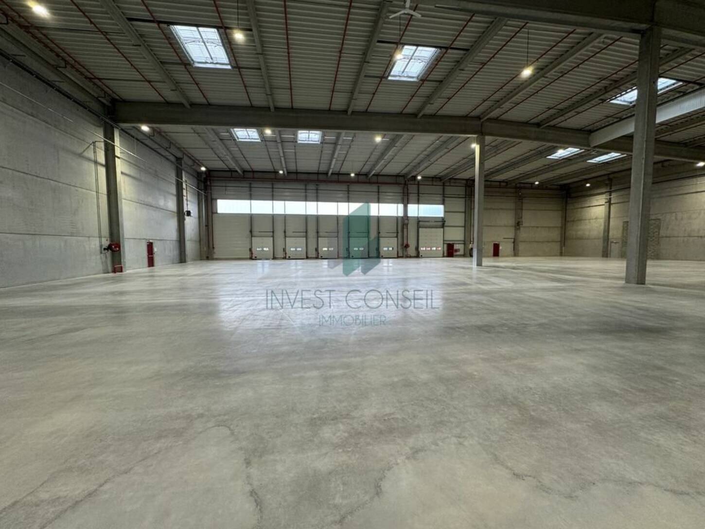 REXIM - Local d'activités - Val-d'Oise - Bonneuil-en-France - 2