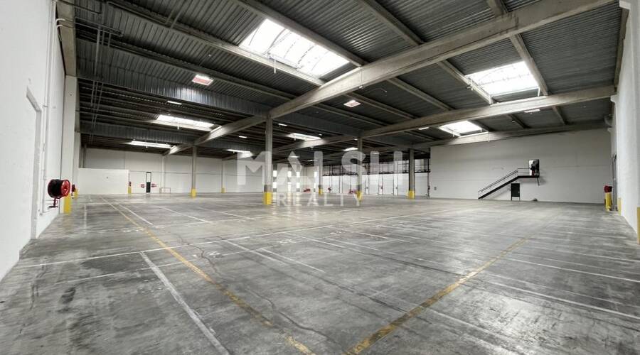 REXIM - Local d'activités - Rhône - Corbas - 3