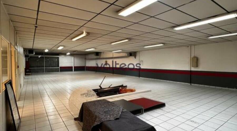 REXIM - Local d'activités - Haute-Garonne - Toulouse - 3