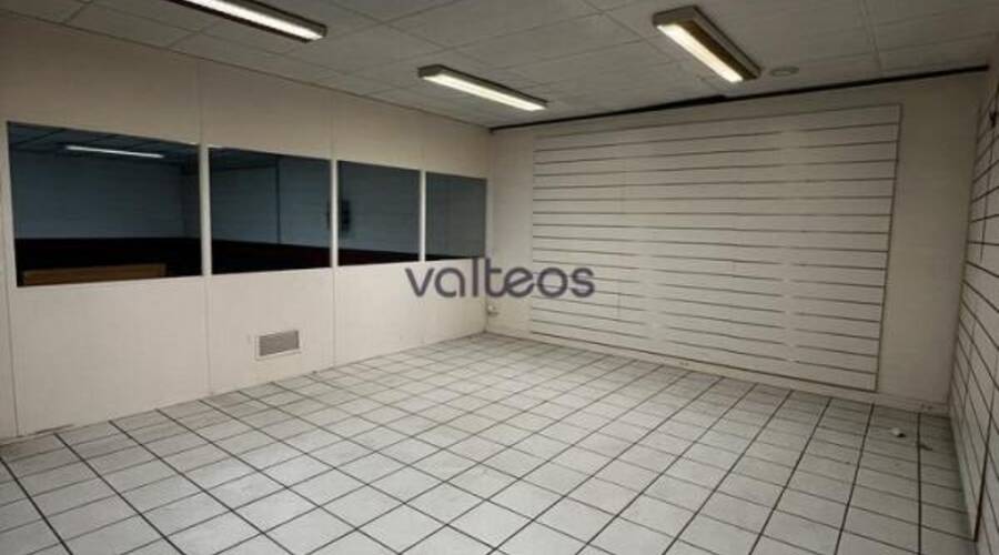 REXIM - Local d'activités - Haute-Garonne - Toulouse - 4