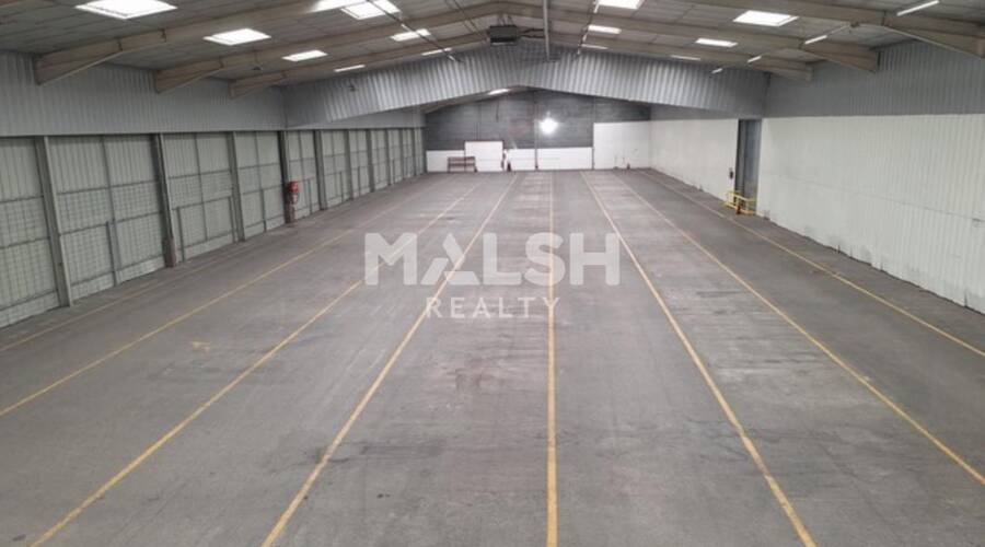 REXIM - Local d'activités - Ain - Reyrieux - 3