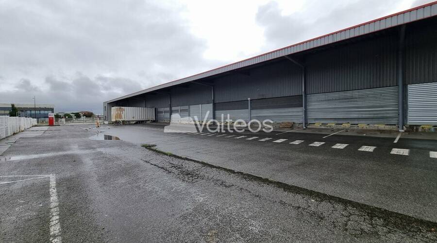 REXIM - Local d'activités - Haute-Garonne - Toulouse - 4