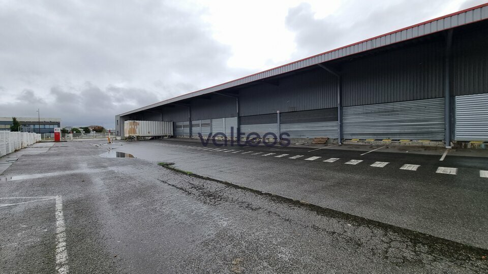 REXIM - Local d'activités - Haute-Garonne - Toulouse - 4