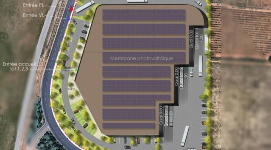 REXIM - Local d'activités - Hérault - Mauguio - 4