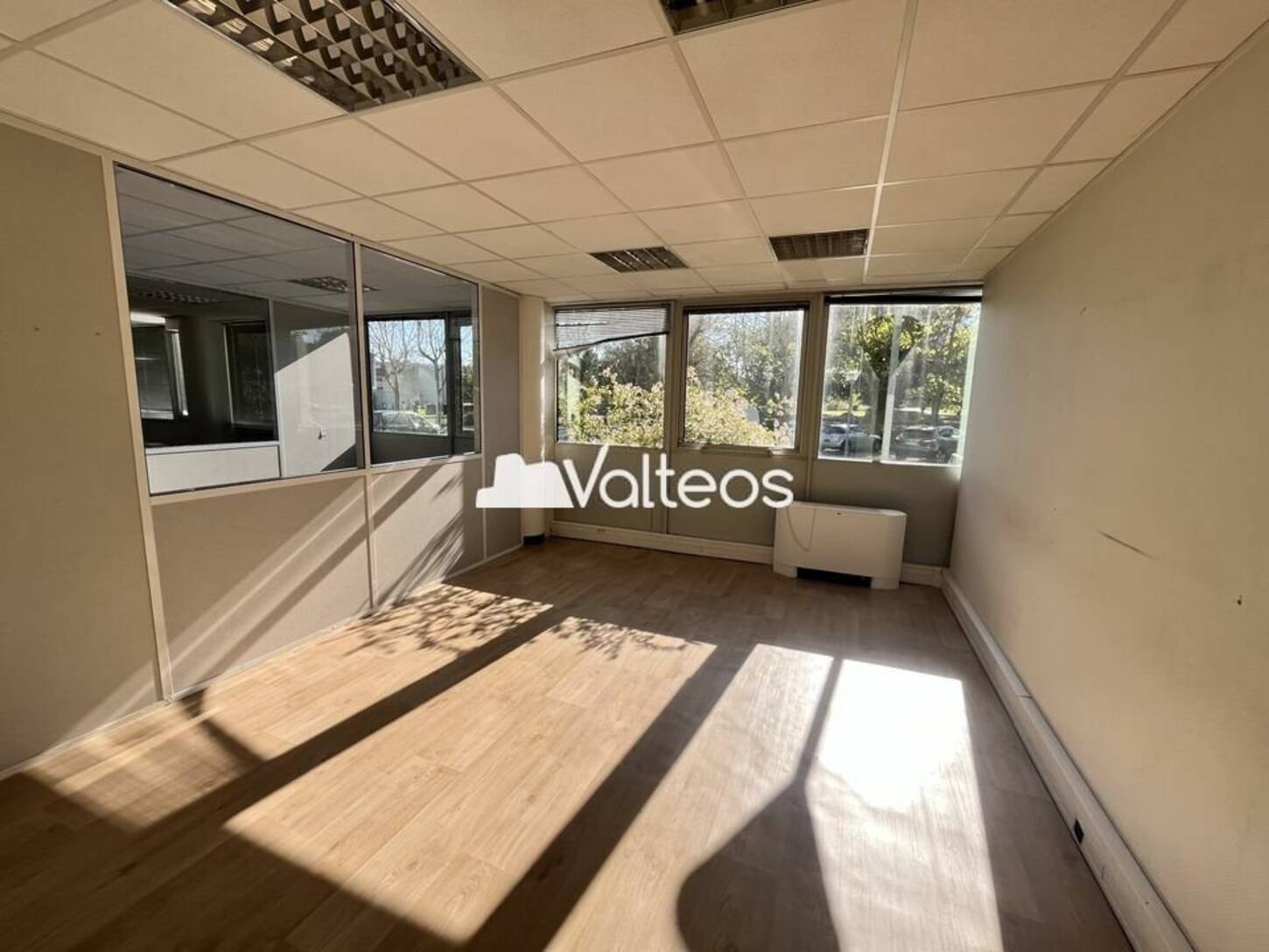 REXIM - Bureau - Haute-Garonne - Labège - 2