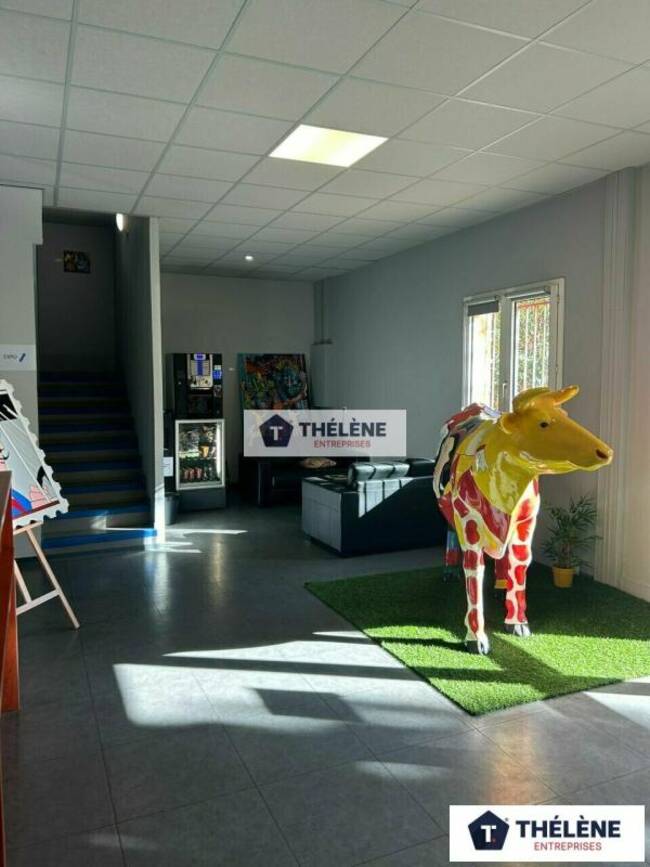 REXIM - Bureau - Hérault - Montpellier - 1