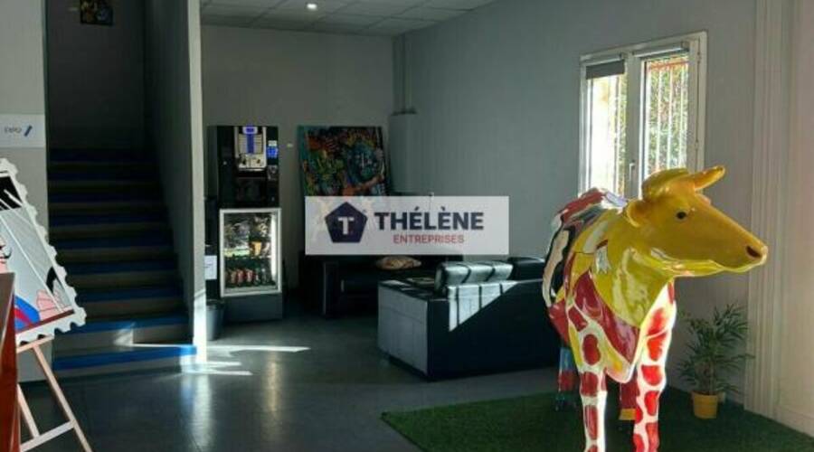 REXIM - Bureau - Hérault - Montpellier - 1