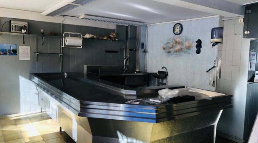 REXIM - Local d'activités - Pyrénées-Orientales - Saint-Cyprien - 3