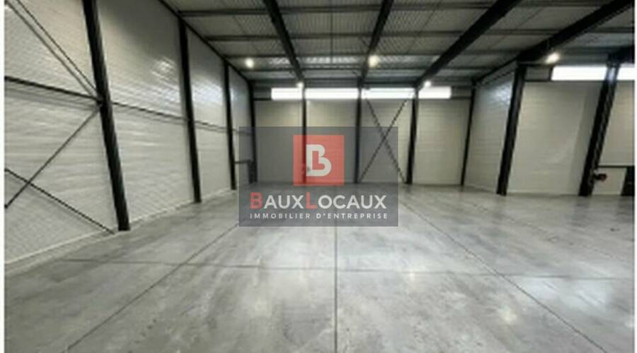 REXIM - Local d'activités - Gard - Nîmes - 2