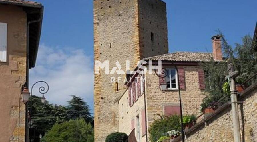 REXIM - Bureau - Rhône - Saint-Cyr-au-Mont-d'Or - 1