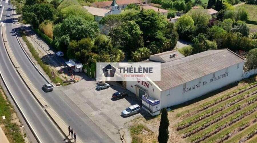 REXIM - Local commercial - Hérault - Pérols - 5