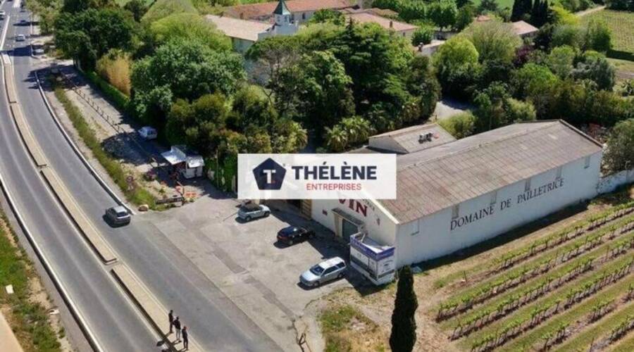 REXIM - Local commercial - Hérault - Pérols - 5