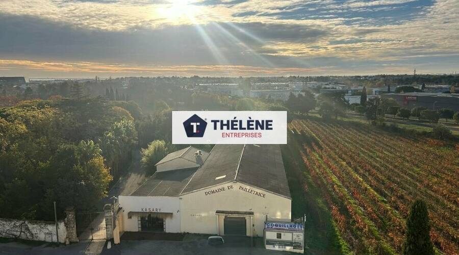 REXIM - Local commercial - Hérault - Pérols - 6