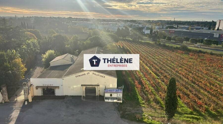 REXIM - Local commercial - Hérault - Pérols - 10