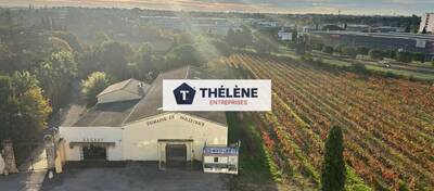 REXIM - Local commercial - Hérault - Pérols - 10