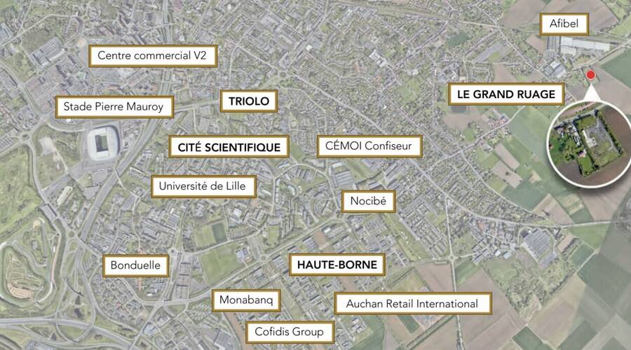 REXIM - Local d'activités - Nord - Villeneuve-d'Ascq - 7