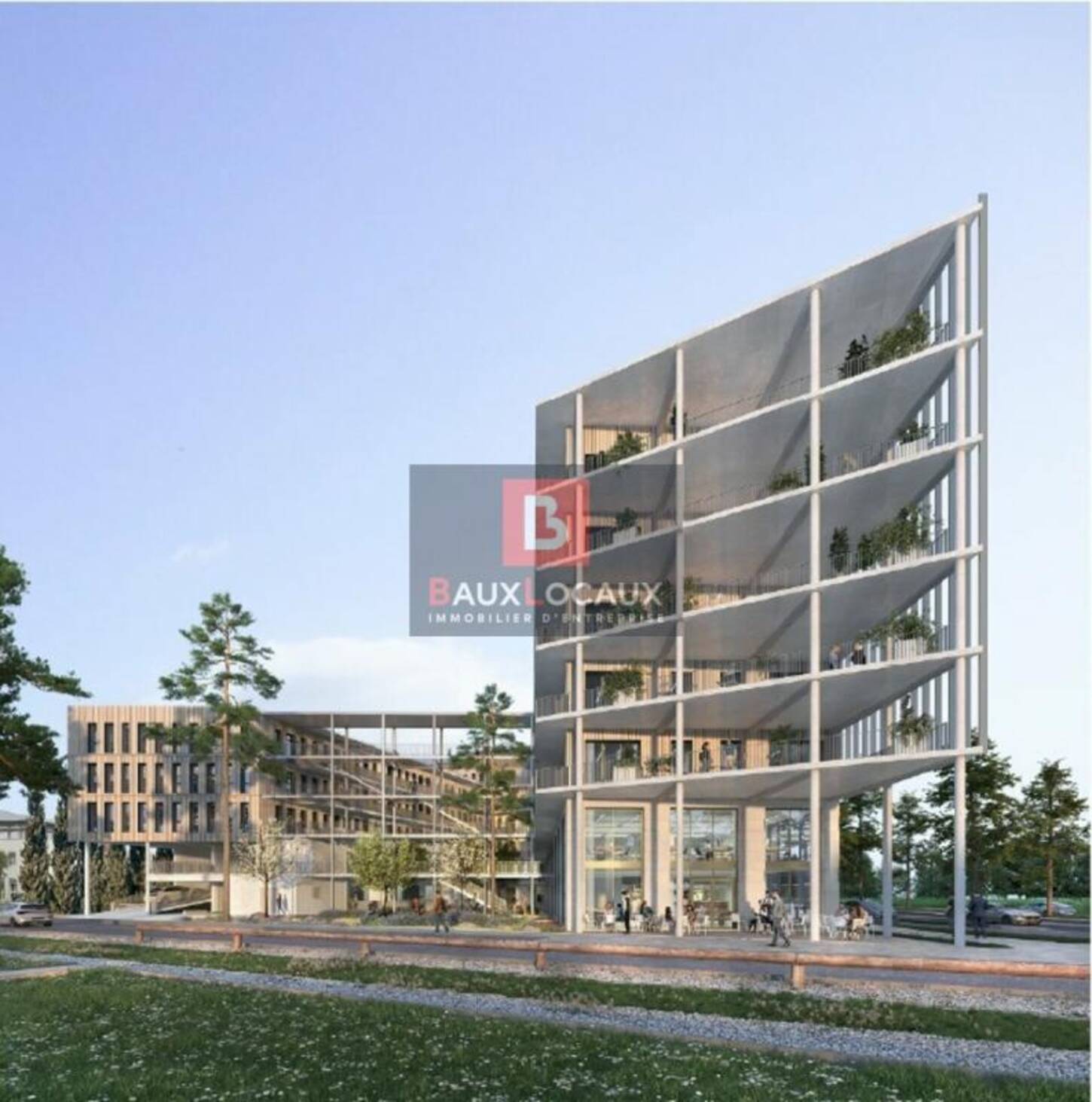 REXIM - Local commercial - Vaucluse - Avignon - 2