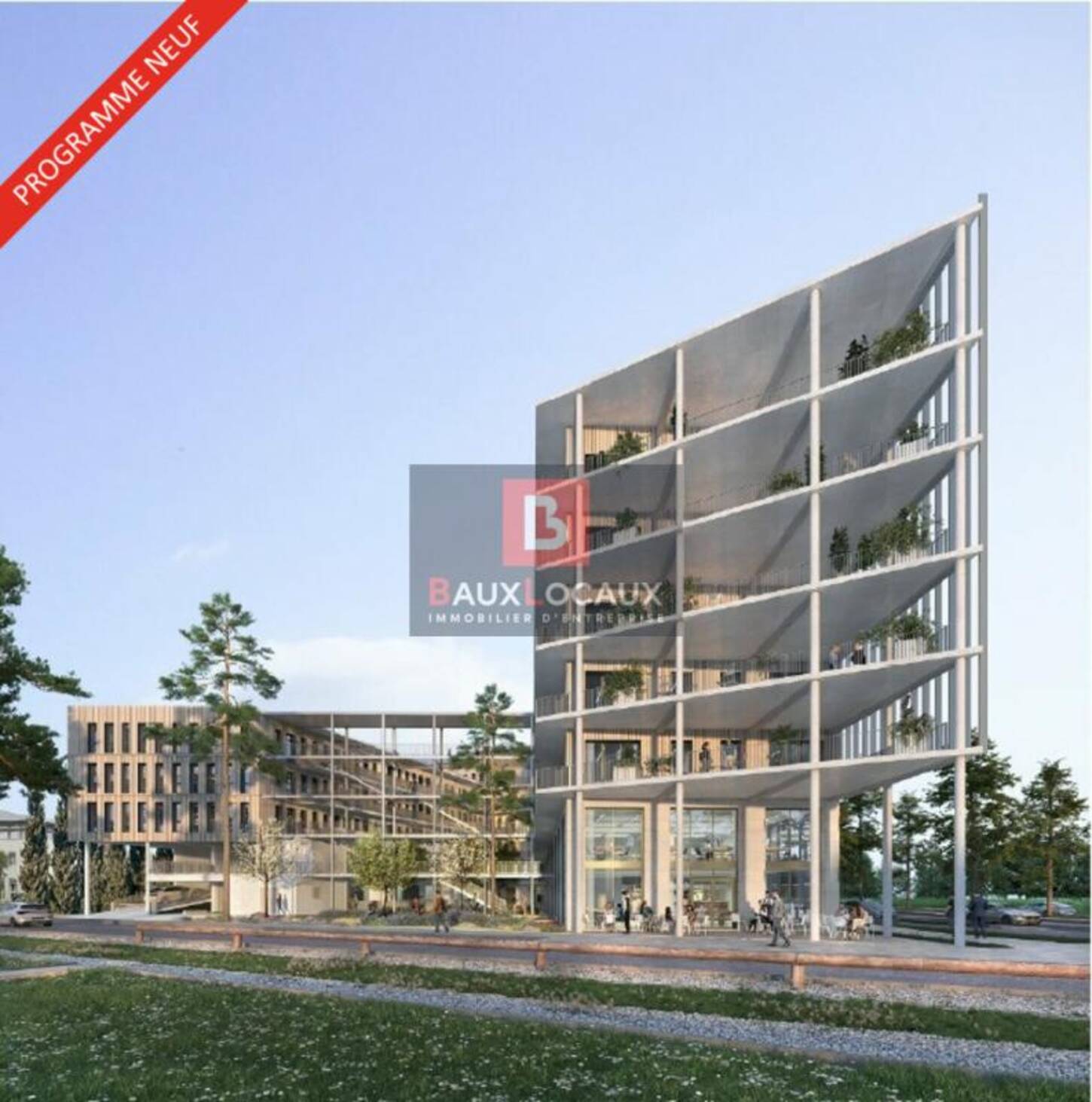 REXIM - Local commercial - Vaucluse - Avignon - 2