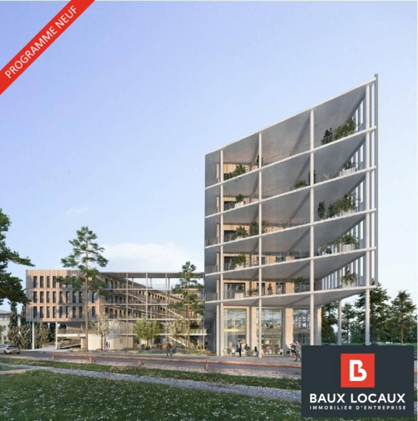 REXIM - Local commercial - Vaucluse - Avignon - 2