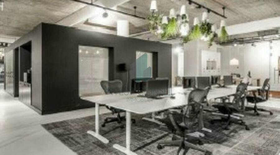 REXIM - Local d'activités - Val-d'Oise - Groslay - 3