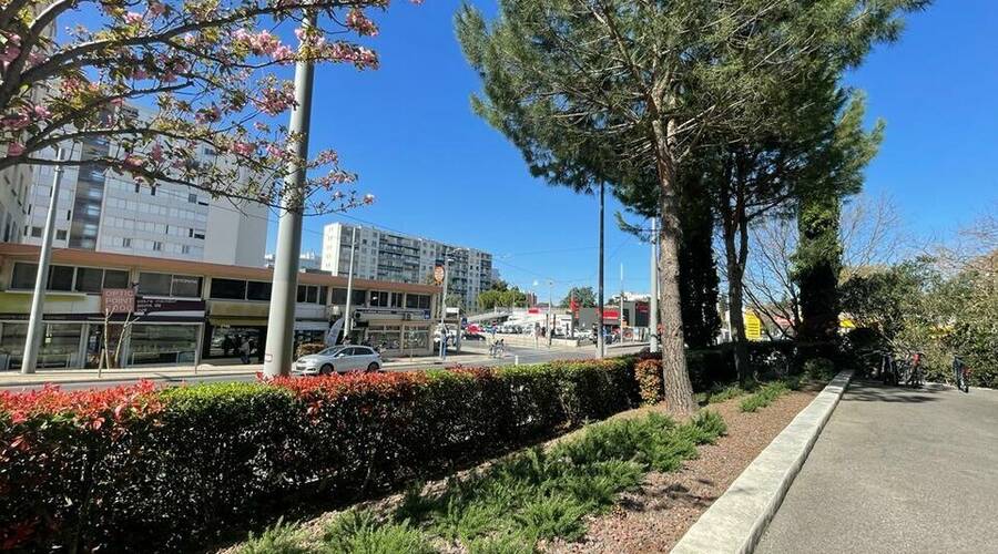 REXIM - Bureau - Hérault - Montpellier - 10