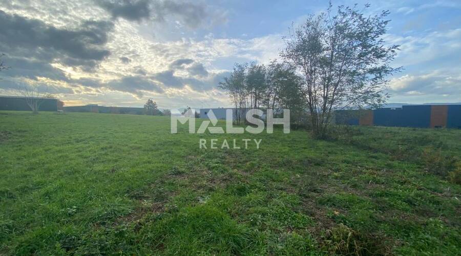 REXIM - Terrain - Ain - Montceaux - 7